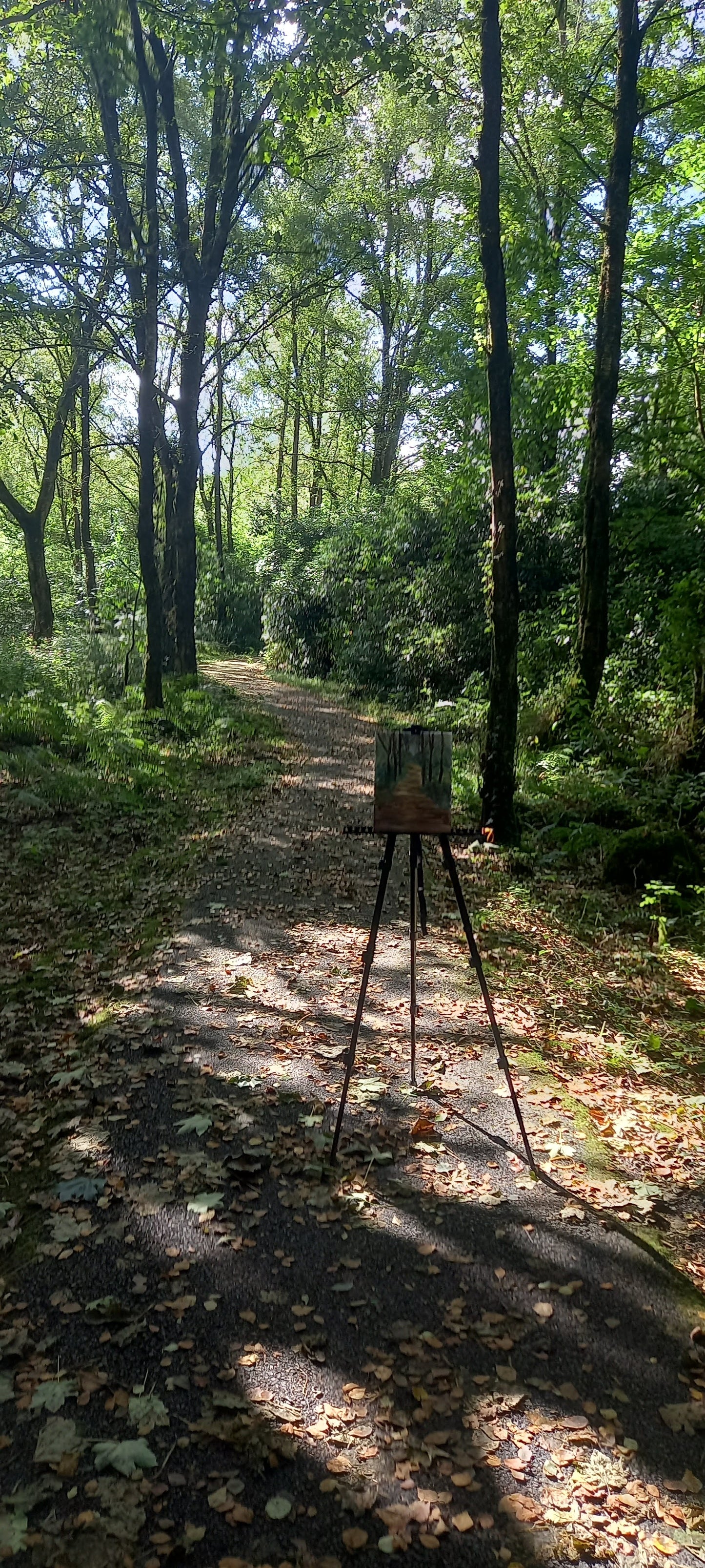 Plein Air Rossmore - Summer Sessions