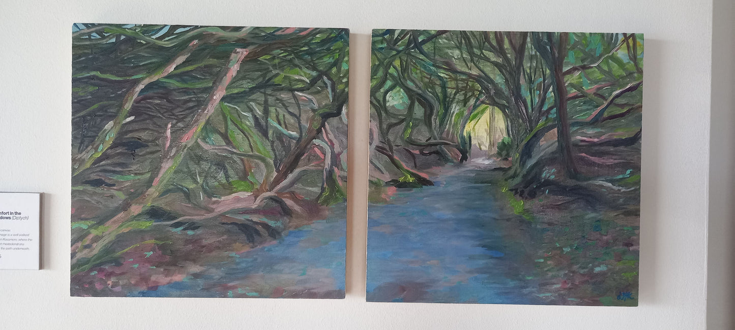 Comfort in the Shadows (Diptych)