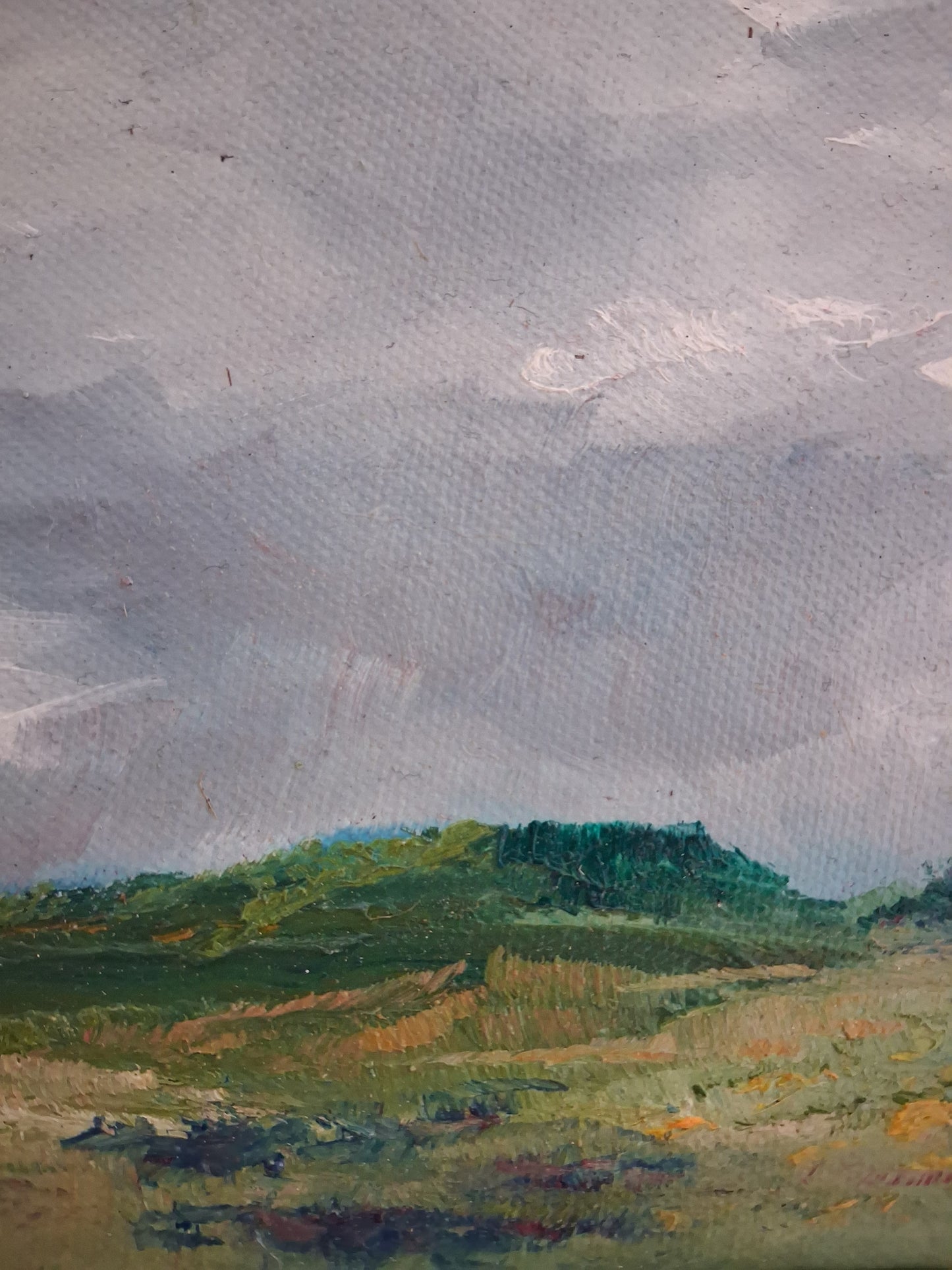 'Dreaming in the Dunes'
