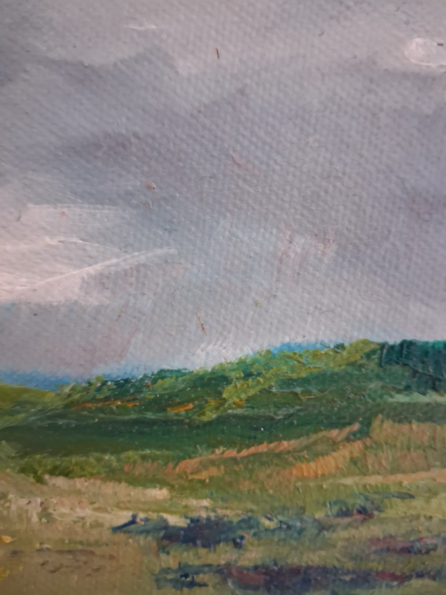 'Dreaming in the Dunes'