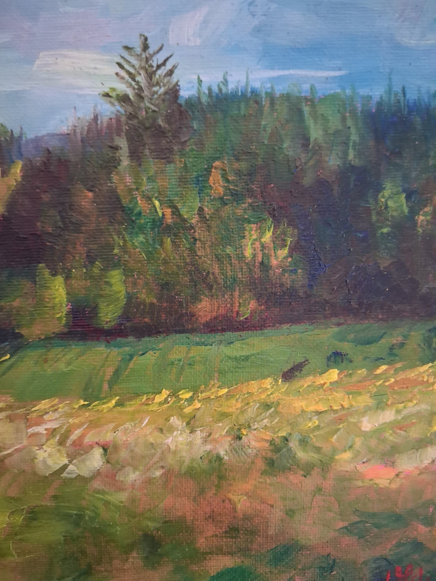 'Solstice Sunlight' framed original painting