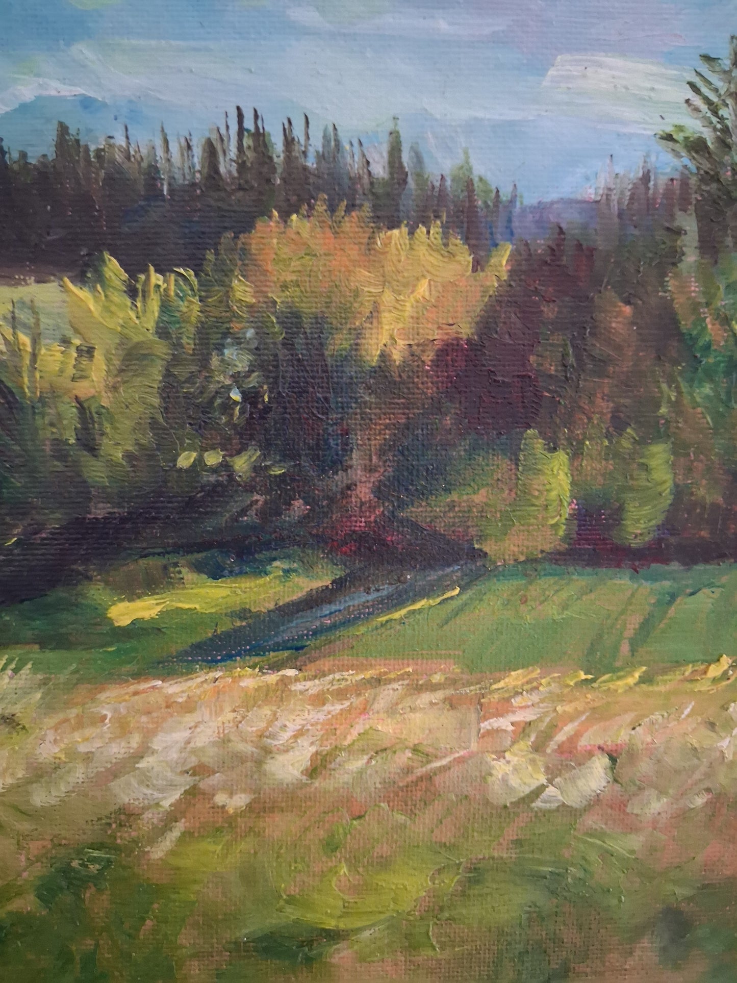 'Solstice Sunlight' framed original painting