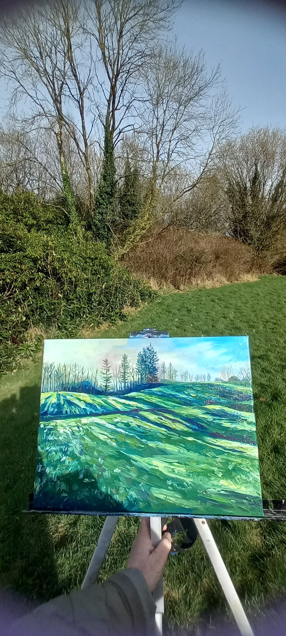 'Winter Rising, Rossmore'