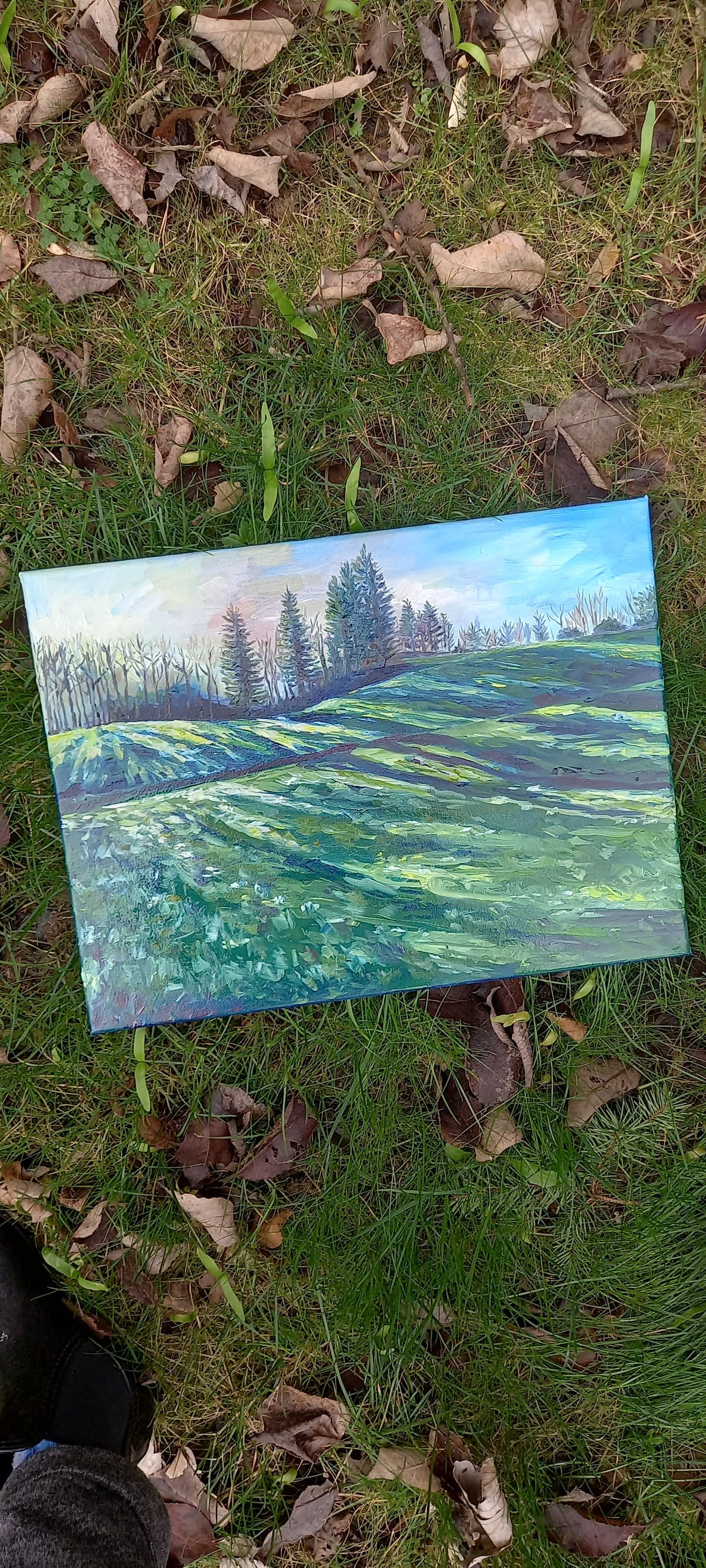 'Winter Rising, Rossmore'